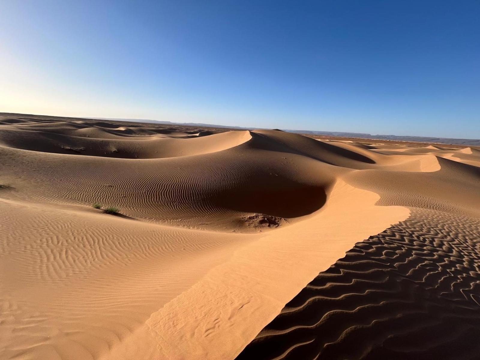 Bivouac La Dune Blanche Mhamid Kültér fotó