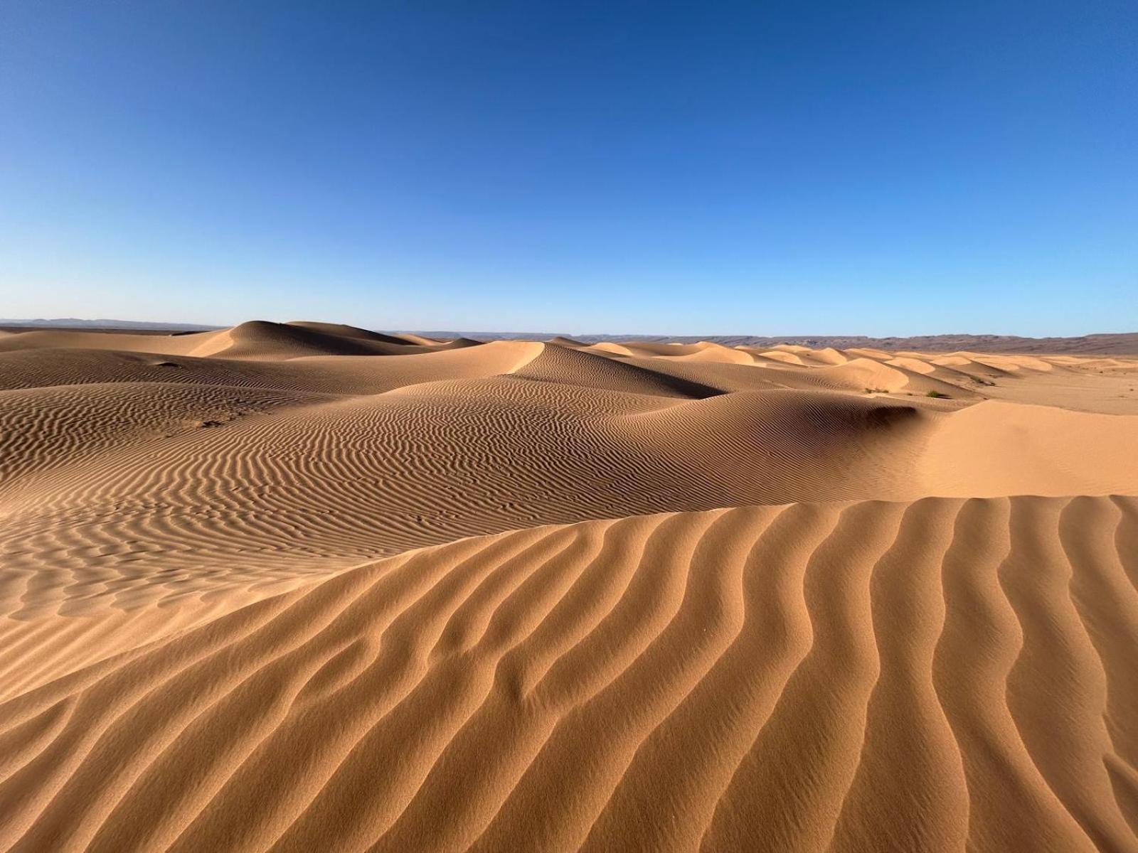 Bivouac La Dune Blanche Mhamid Kültér fotó