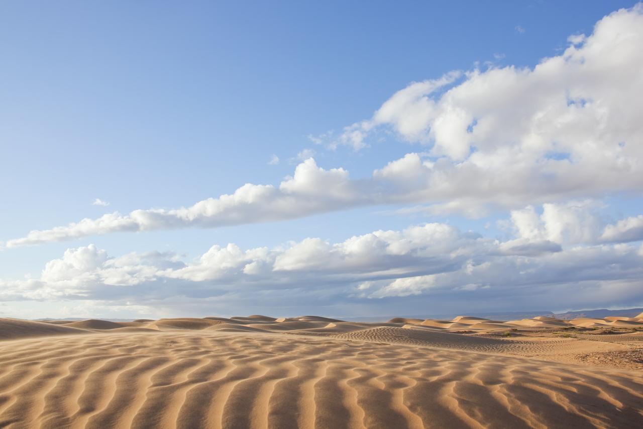 Bivouac La Dune Blanche Mhamid Kültér fotó