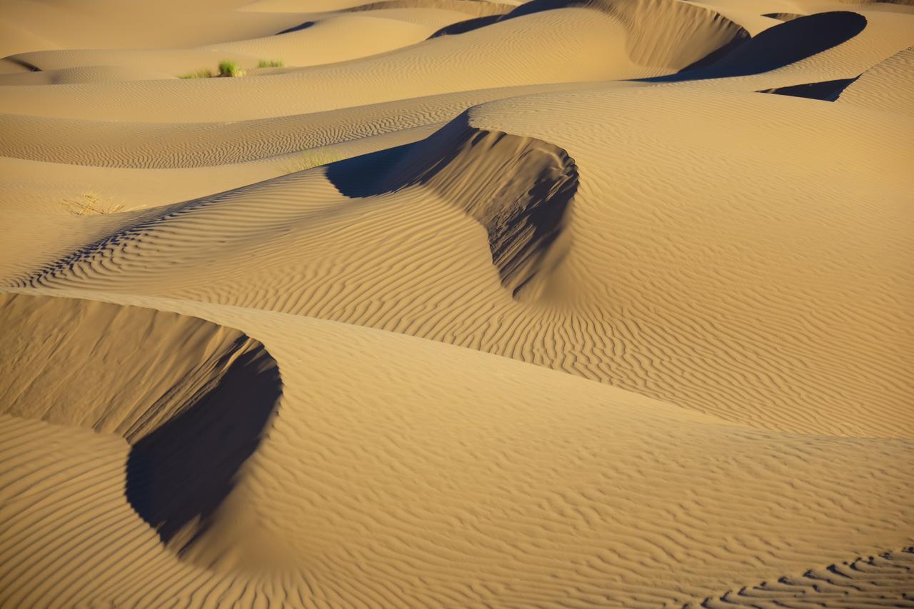 Bivouac La Dune Blanche Mhamid Kültér fotó